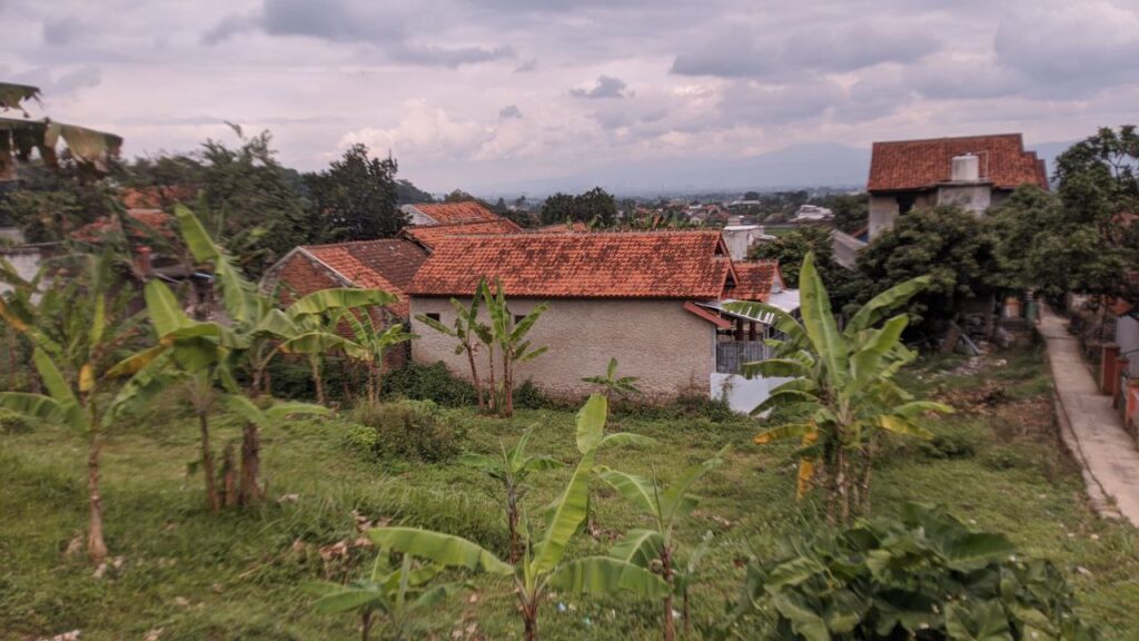 NAISAR Forest Garden