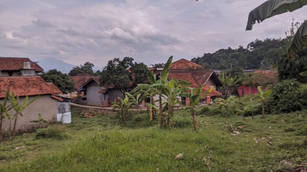 NAISAR Forest Garden