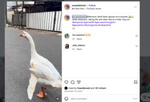 Screenshot 2026 02 20 at 22.56.29