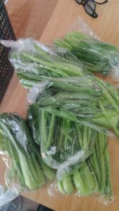 Penjualan Hasil Bumi