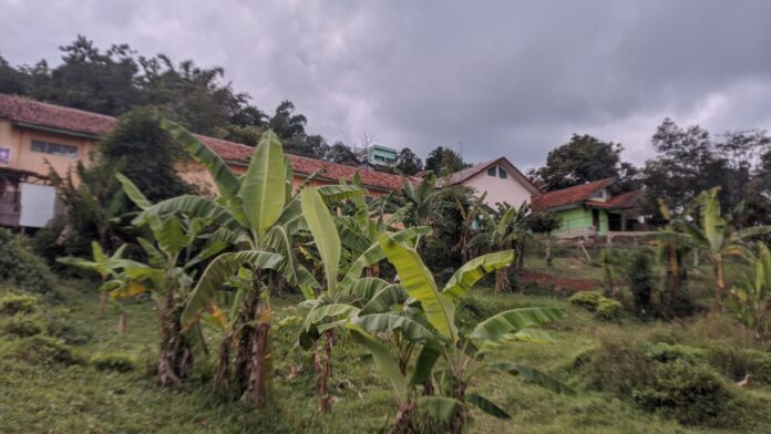 Naisar Forest Garden